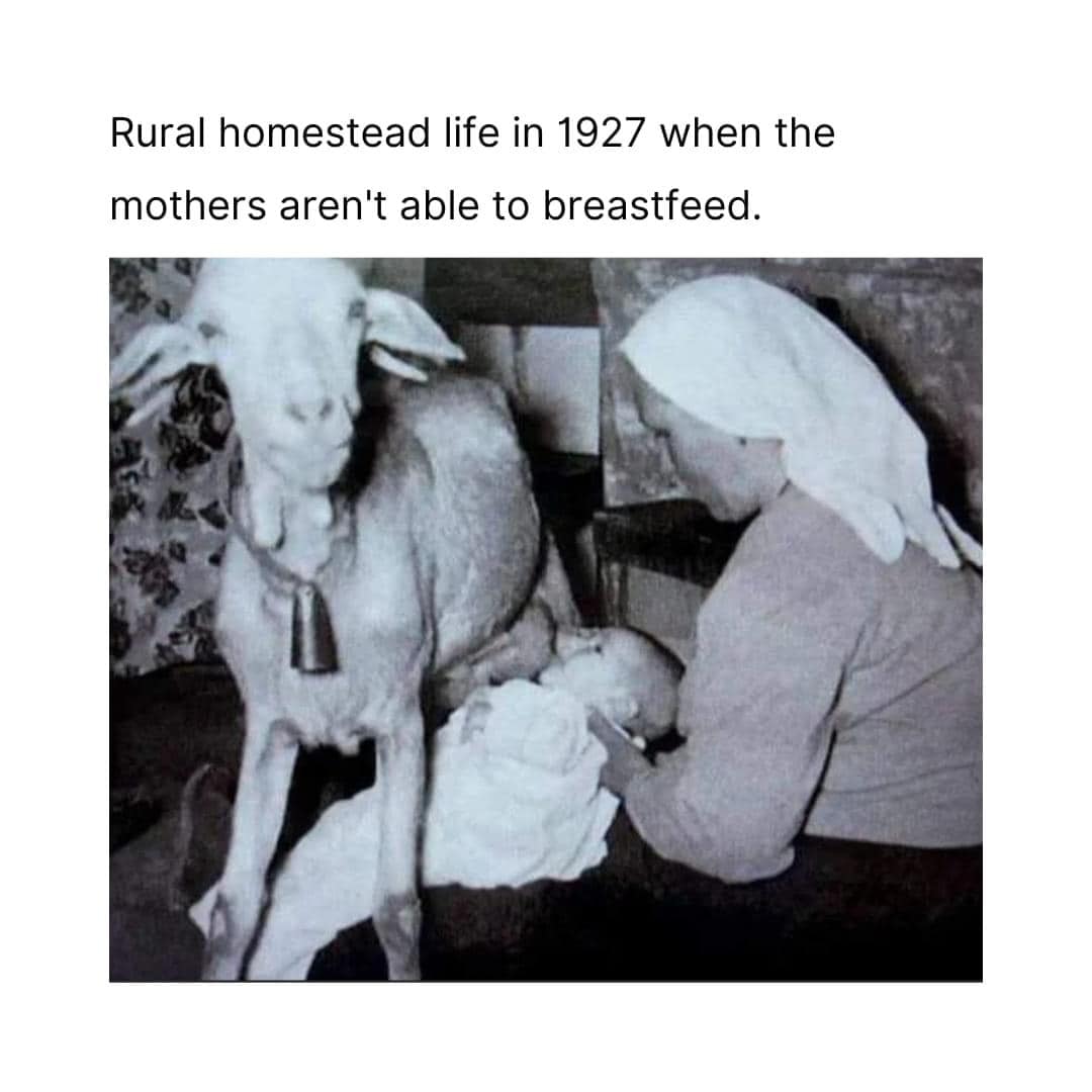 This meme is a humorous take on the idea that rural life in 1927 was very different from modern times. The image shows a woman in a rural setting, nursing a baby, while a goat is also nursing from her. The text above the image reads "Rural homestead life in 1927 when the mothers aren't able to breastfeed."